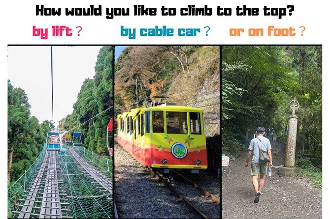 Tokyos Mt. Takao Hike - Authentic Wildlife Encounters and Cultural Insights