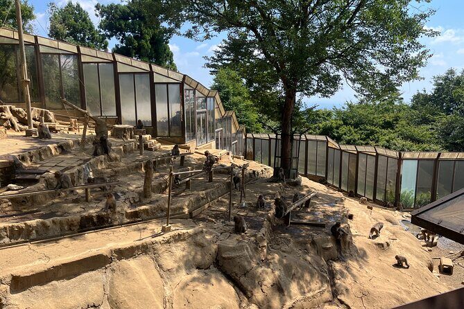 Tokyos Mt. Takao Hike - The Sum Up: The Ideal Day Out in Nature