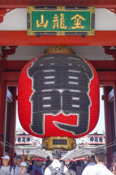 Tokyos Must-Sees: 5-hour Tsukiji, Akihabara & Asakusa - Dietary and Health Considerations