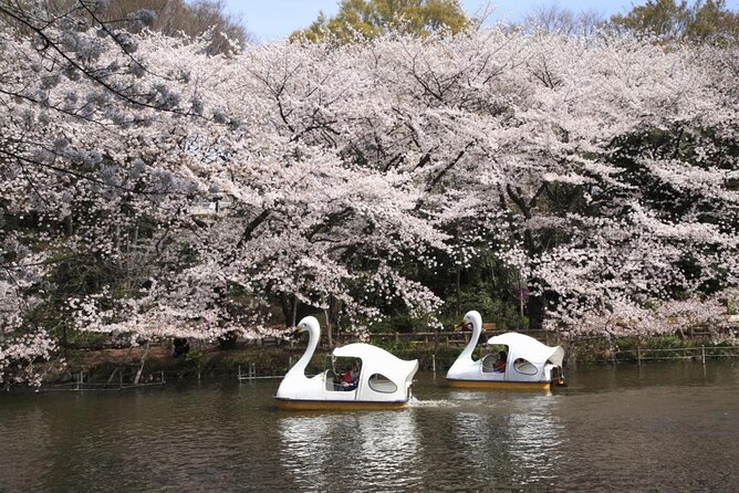 Tokyos Private Night Food Tour & Hotspots - Pricing and Group Size Options