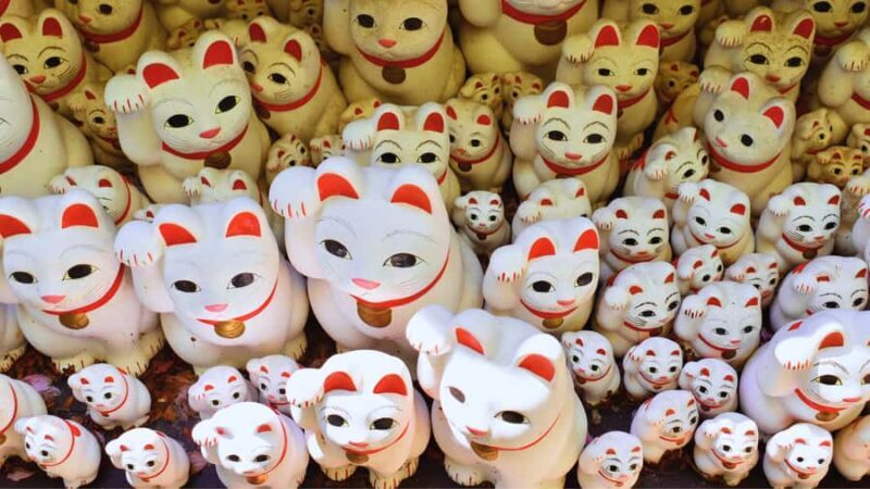 Tokyo's Shibuya On Foot, With Hachiko & the Lucky Cat Temple - Exploring Tokyo’s Shibuya On Foot, With Hachiko & the Lucky Cat Temple