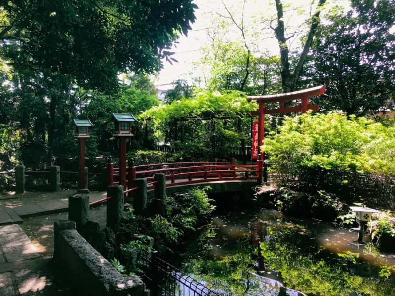 Tokyo's Shibuya On Foot, With Hachiko & the Lucky Cat Temple - Good To Know