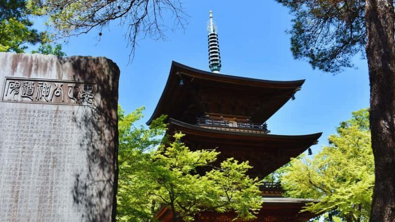 Tokyo's Shibuya On Foot, With Hachiko & the Lucky Cat Temple - Practical Details: What You Need to Know