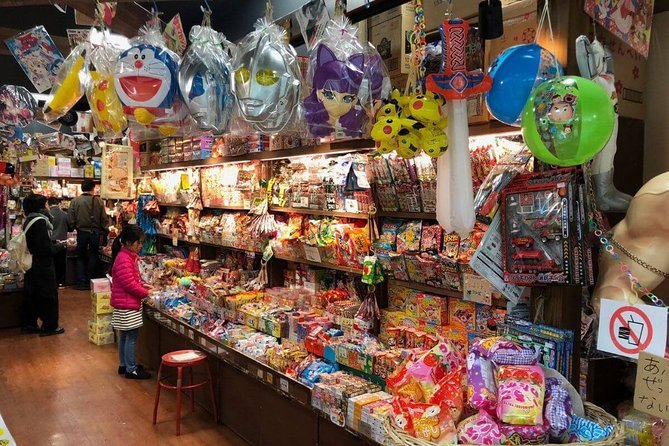 Tokyos Unique & Unusual Tour With a Local: 100% Personalized & Private - Experience the Museum of Parasites