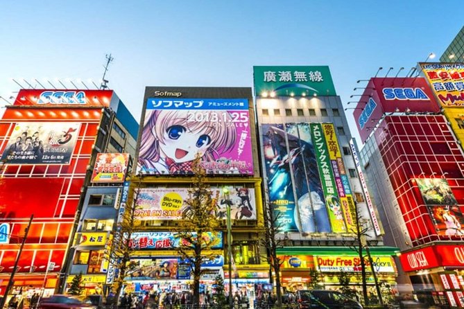 Tokyos Unique & Unusual Tour With a Local: 100% Personalized & Private - Discover Akihabara Cosplay District