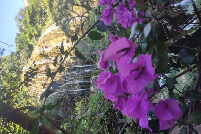 Tolantongo Caves Full Day from Mexico City - Authentic Insights from Reviewers