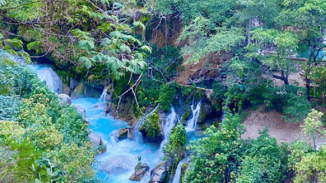 Tolantongo Caves Tour: Hot Springs and Cascades (2D) - Included Services