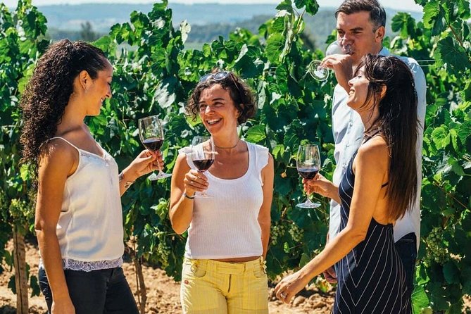 Toledo City Tour & Winery Experience With Wine Tasting From Madrid - Pricing and Booking Details