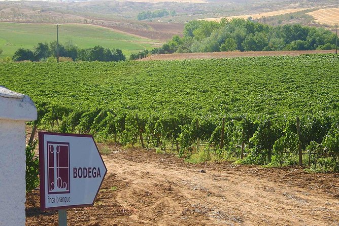 Toledo City Tour & Winery Experience With Wine Tasting From Madrid - Select Date and Travelers