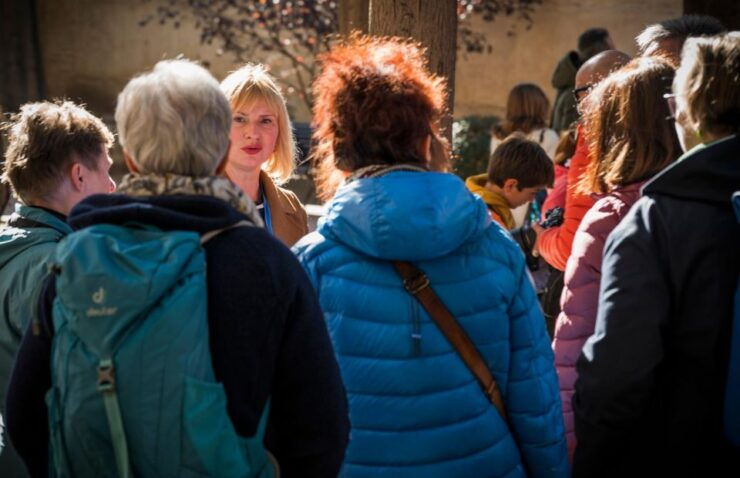 Toledo: Private Guided Tours in English, German or Spanish - Tour Details and Booking Information