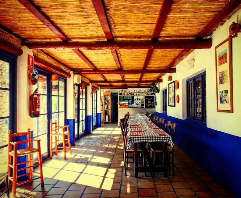 Toledo: Toledo & La Mancha Wine Tour - Windmills and Lunch Included. - The Sum Up