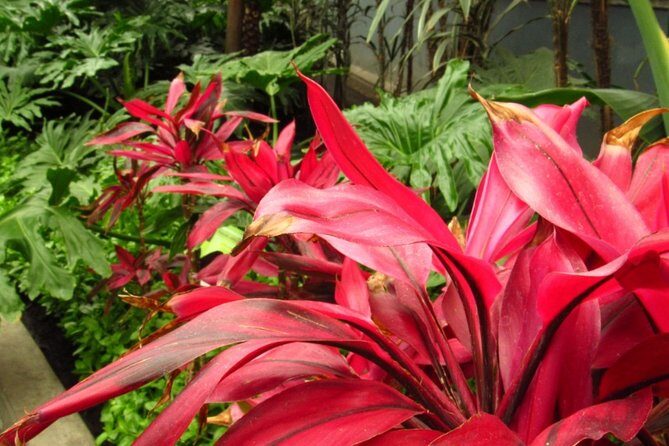 Toluca and Pueblo Mágico de Metepec from Mexico City - What Reviewers Say