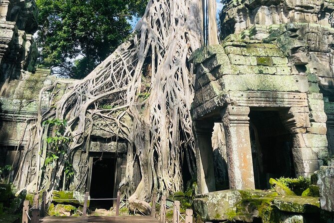 Tom Raiders Temple Tour for Families With Photographer - Family-Friendly Activities