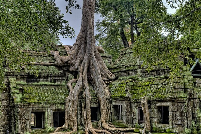 Tom Raiders Temple Tour for Families With Photographer - Expert Tour Guide