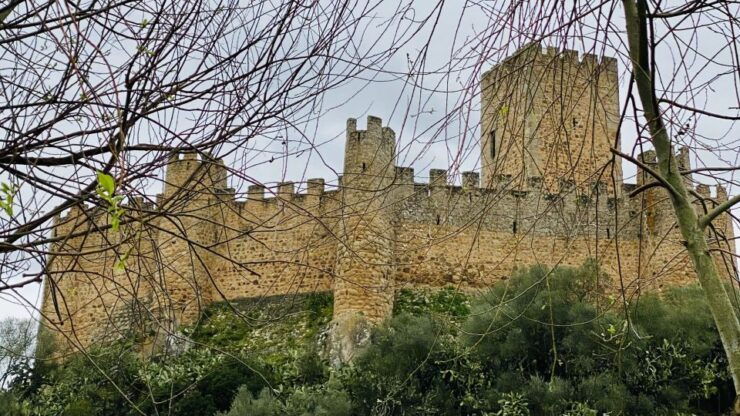 Tomar: Castle of Almourol Private Tour - Good To Know
