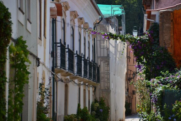 Tomar: Knights Templar Self-Guided Audio Tour - Exploring Tomars Historical Center