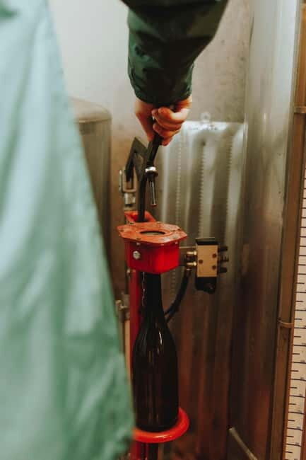 Tomar: Learn About Winemaking with a Tasting - Good To Know