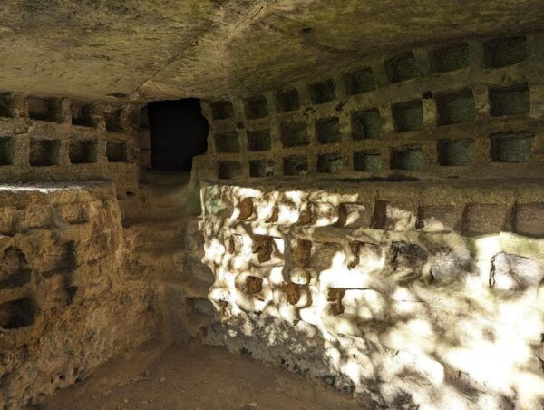 Tomb Hunting and Trekking Adventure in Sovana - Weather and Safety Considerations