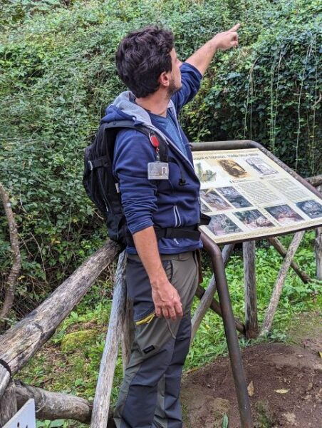 Tomb Hunting and Trekking Adventure in Sovana - The Sum Up