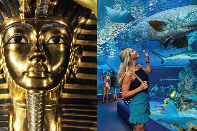 Tomb of the Pharaohs and Cairns Aquarium Combo - Discover Two Worlds in One Day: Tomb of the Pharaohs & Cairns Aquarium Combo
