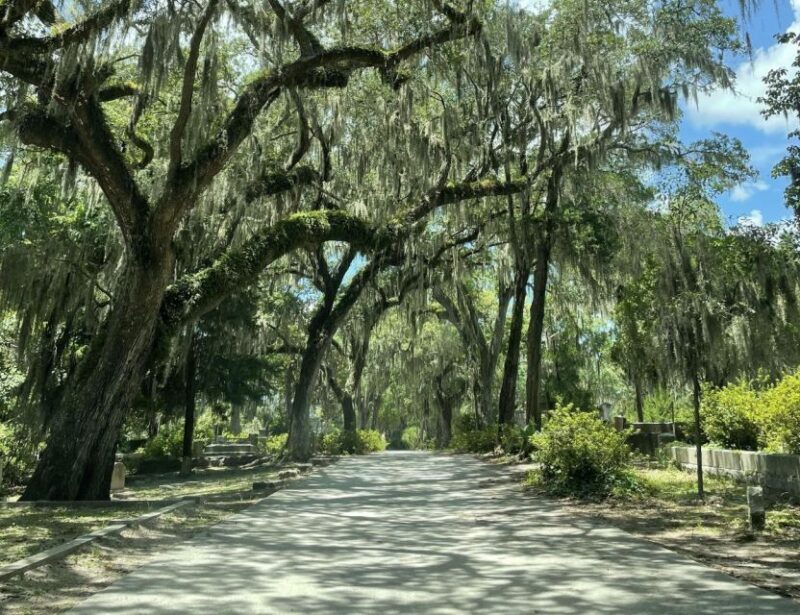 Tombs of Savannah: Bonaventure Cemetery Experience - Tombs of Savannah: Bonaventure Cemetery Experience — A Detailed Review