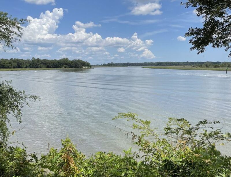 Tombs of Savannah: Bonaventure Cemetery Experience - Who Should Consider This Tour?