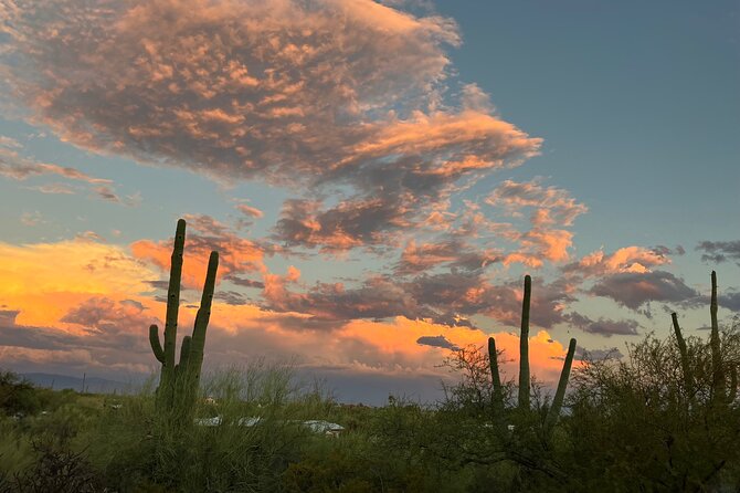 Tombstone & San Xavier, How the West Was Won! - Terms & Conditions