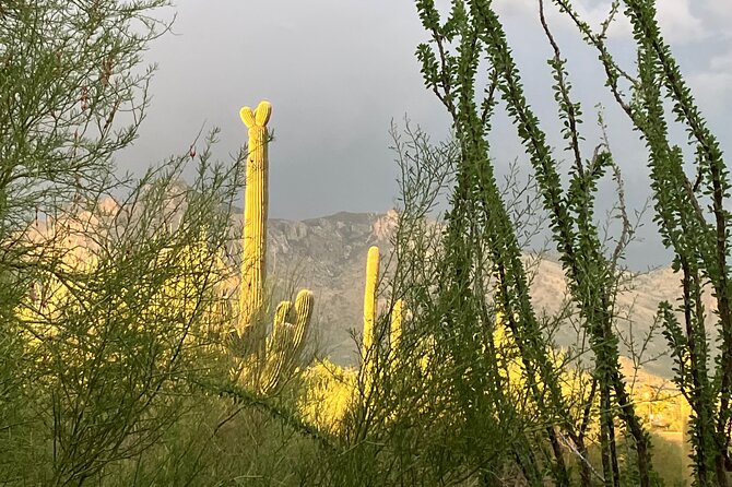 Tombstone & San Xavier, How the West Was Won! - Common Questions