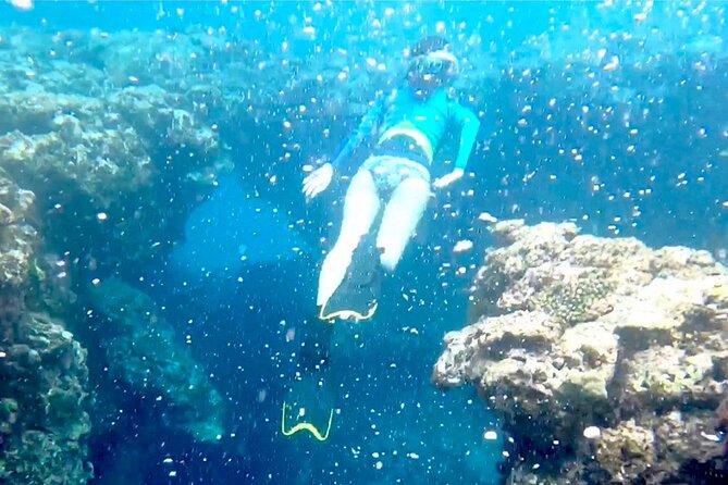 Tomori- Beach Blue Cave Snokering/ENGLISH PRIVATE - Common Questions
