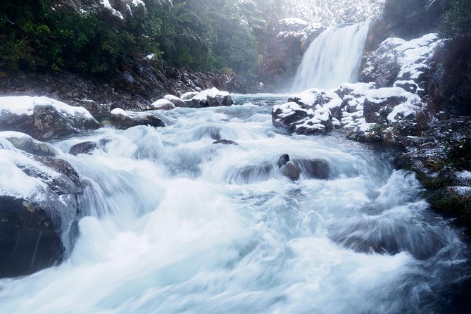 Tongariro National Park and Alpine Crossing Walking Tour  - Ohakune - Pricing and Booking Information