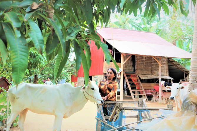 Tonle Sap Lake - Fishing Village & Flooded Forest - Exploring the Flooded Forest