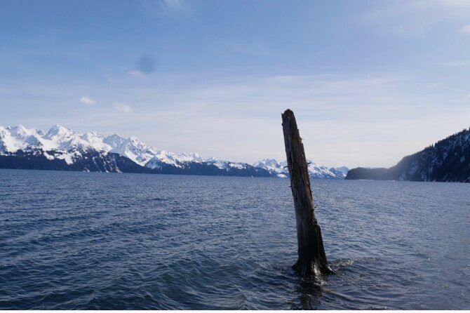 Tonsina Beach Hike with Seward Guided Hikes - Detailed Breakdown of the Itinerary