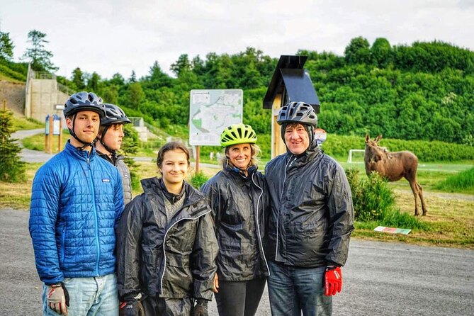 Tony Knowles Coastal Trail Scenic Bike Tour - Positive Reviews