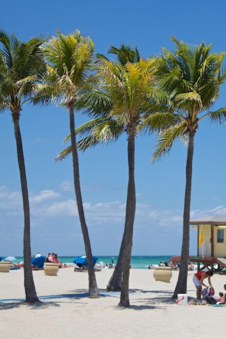 Top 10 South Beach Highlights Tour - Lincoln Road & Espanola - LetzGo City Tours Details