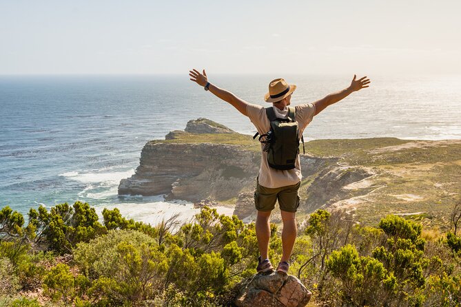 Top 10 Super Tour: Table Mountain, Penguins & Cape of Good Hope Small Group Trip - Overview of the Super Tour