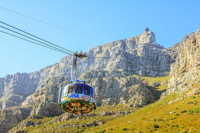 Top 10 Super Tour: Table Mountain, Penguins & Cape of Good Hope Small Group Trip - Penguins at Boulders Beach