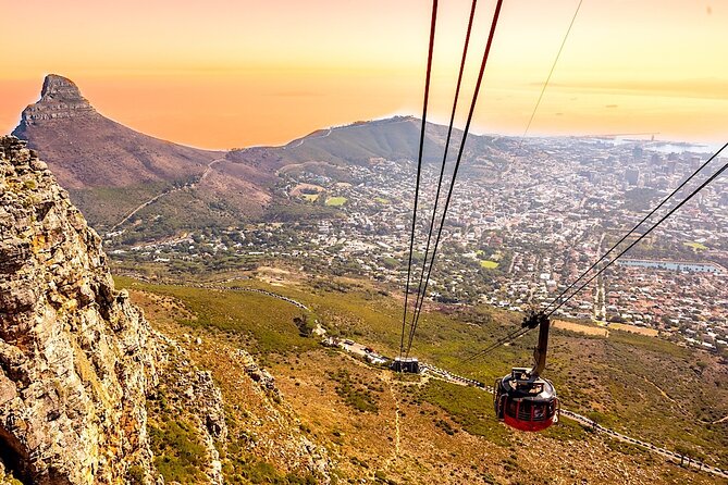 Top 10 Super Tour: Table Mountain, Penguins & Cape of Good Hope Small Group Trip - Exploring the Cape of Good Hope