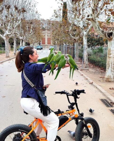 Top-25 Sights Guided City Tour by Bike/eBike - Customer Review