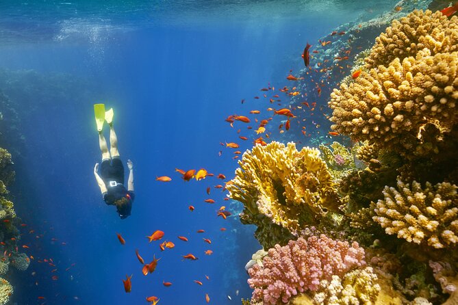 Top 3 Days Private Tour From Sharm El Sheikh - Frequently Asked Questions