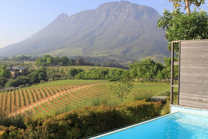Top 3 Wineries in Cape Town Private Tour and Wine Tasting - Steenberg Vineyards