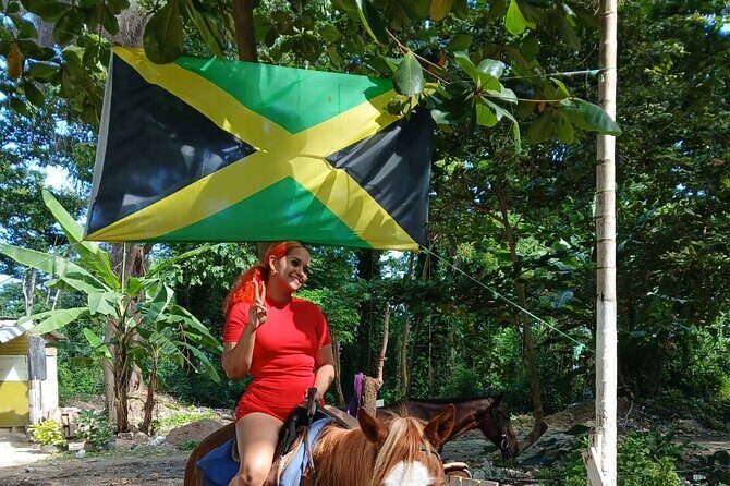 Top 4 Ocho Rios attractions from Ocho Rios Falmouth & Montego Bay - Authentic Insights from Reviews