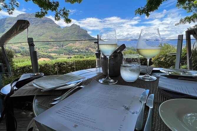 Top 5 Wineries in Cape Town Private Tour and Wine Tasting - Steenberg Vineyards