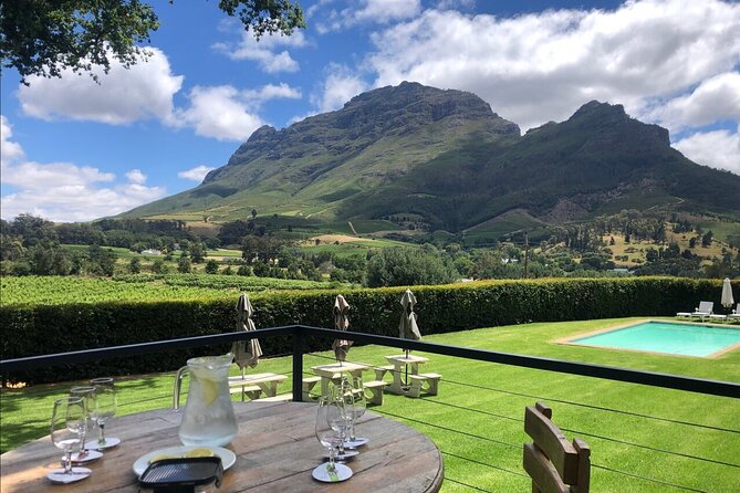 Top 5 Wineries in Cape Town Private Tour and Wine Tasting - Buitenverwachting Wine Estate