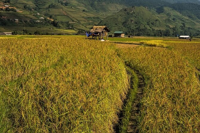 Top Active Vietnam Adventure and Full Package - Accommodation and Transportation Details