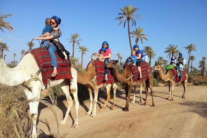 Top Activities: Sunset Camel Ride in the Palm Grove of Marrakech - What to Expect During the Ride