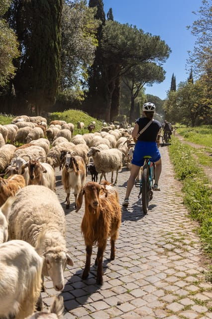 Top Electric MTB Adventure on Appian Way & Aqueducts, (26km) - Good To Know