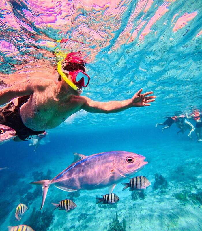 Top Experience: Snorkel & Beach Club All Inclusive / Open Bar & Lunch - Good To Know