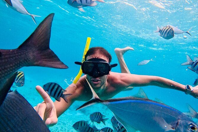 Top Experience: Snorkel Tour & All Inclusive Beach Club - Practical Tips for Travelers