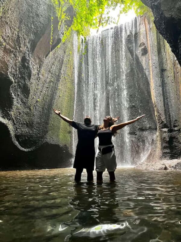 Top Highlights Ubud Private Day Tour - What You’ll Love About This Tour
