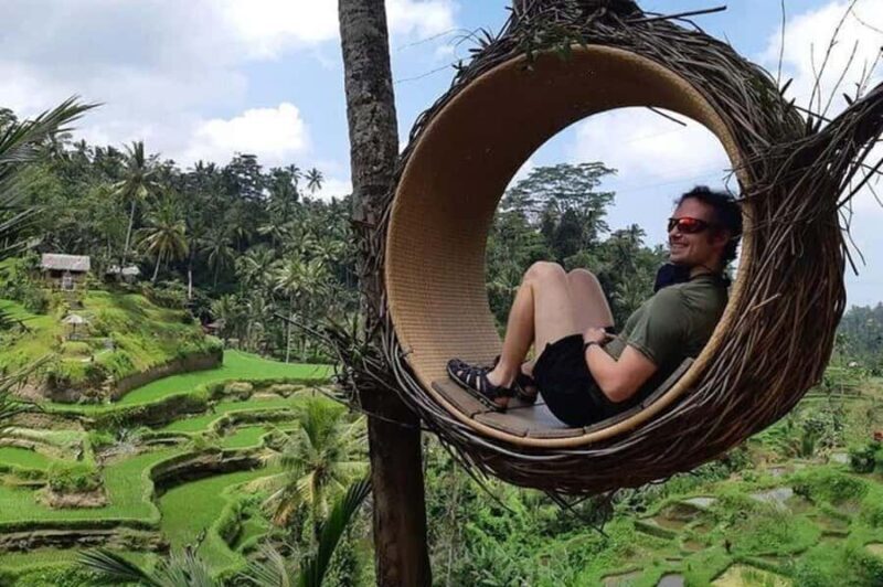 Top Highlights Ubud Private Day Tour - Who Is This Tour Best For?